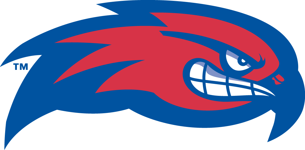 UMass Lowell River Hawks 2005-Pres Partial Logo iron on transfers for T-shirts